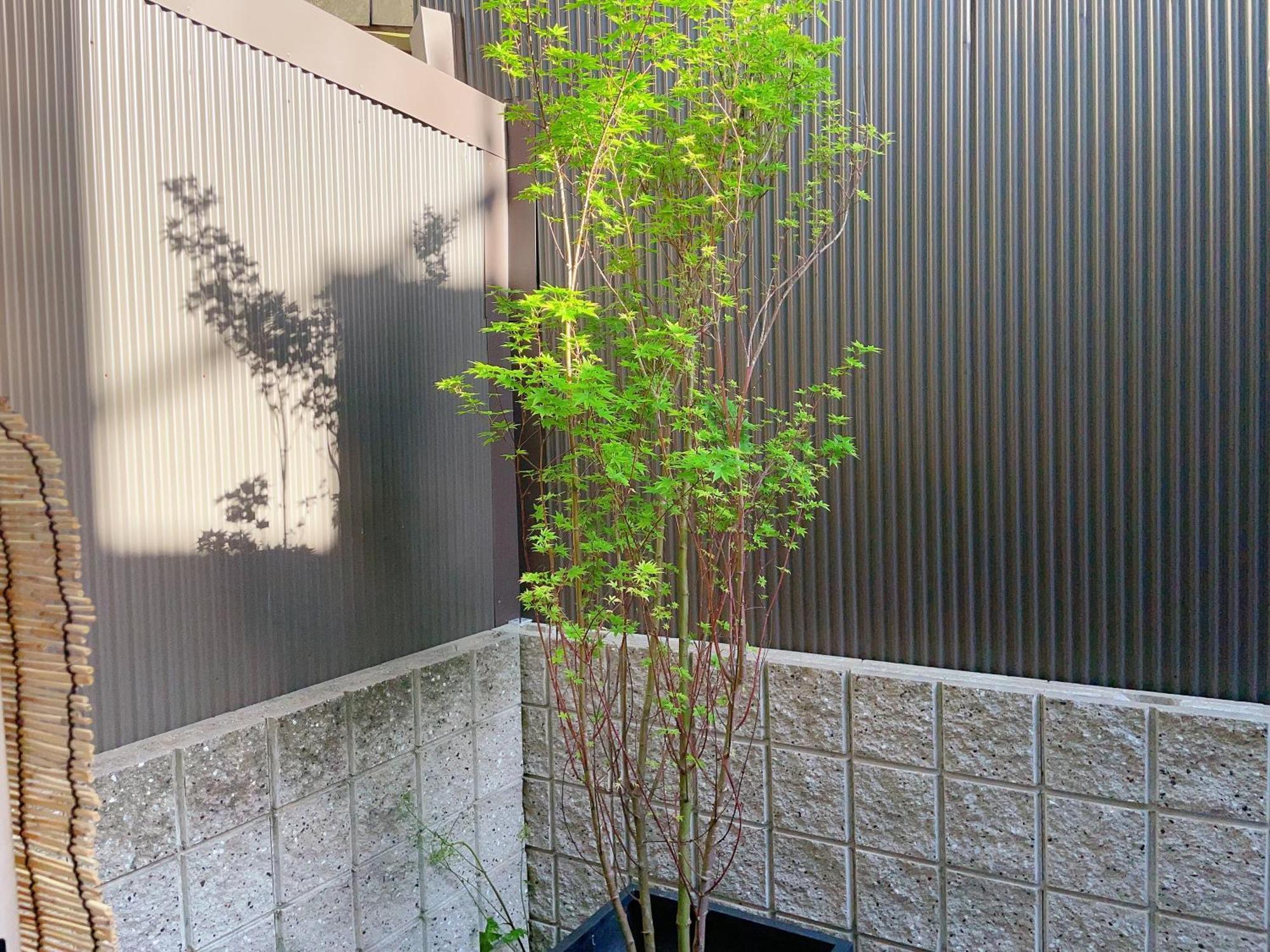 Suikakan Heianjingumae 酔花間 Kyoto Exterior photo