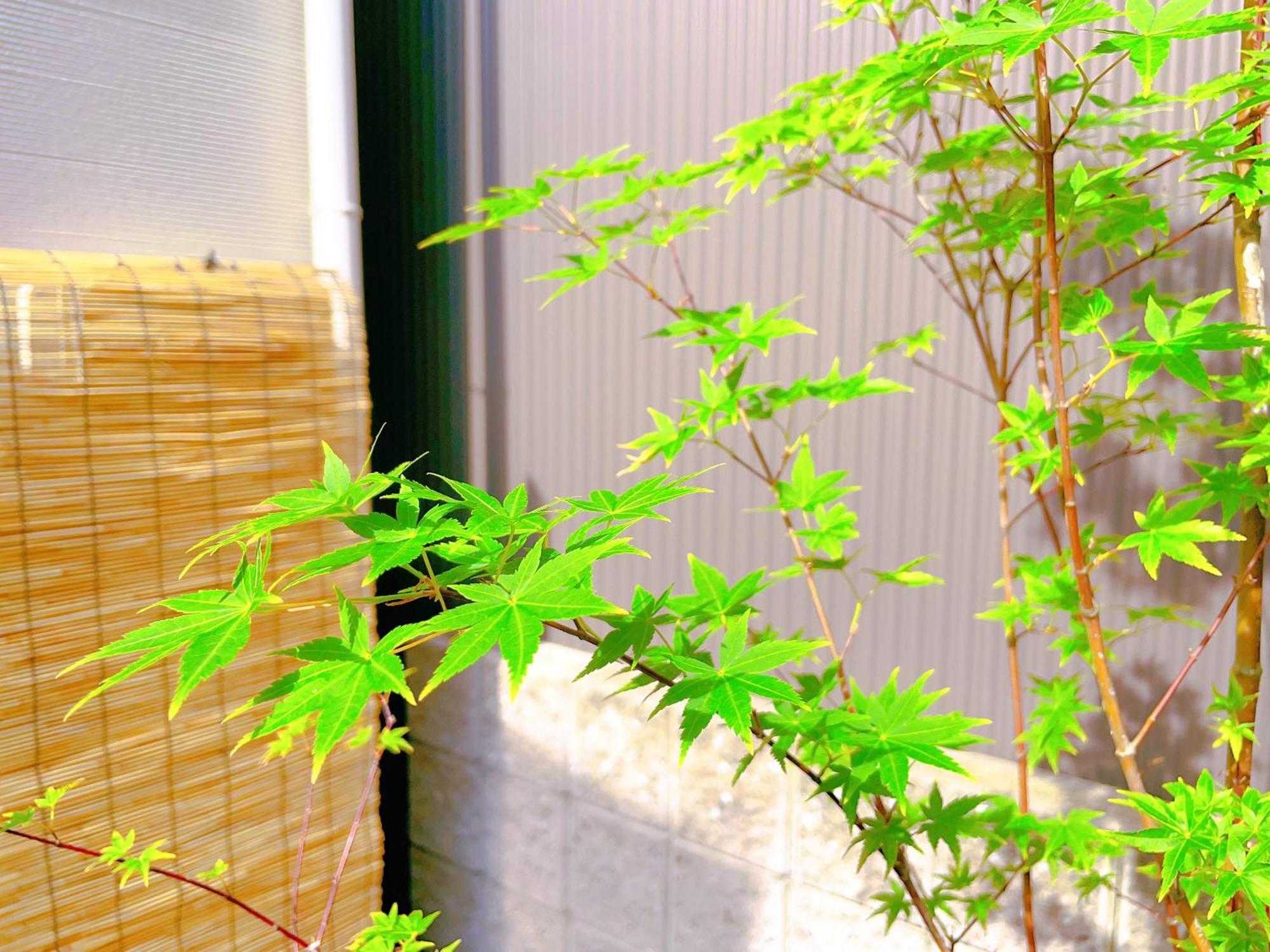 Suikakan Heianjingumae 酔花間 Kyoto Exterior photo